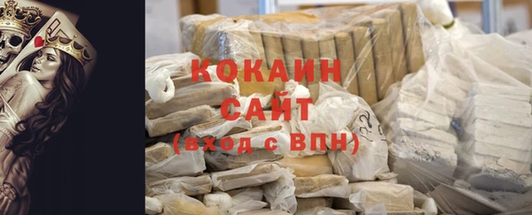 сатива Вяземский