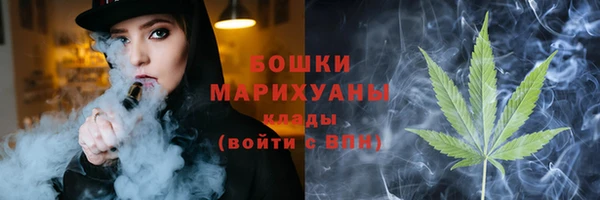 сатива Вяземский