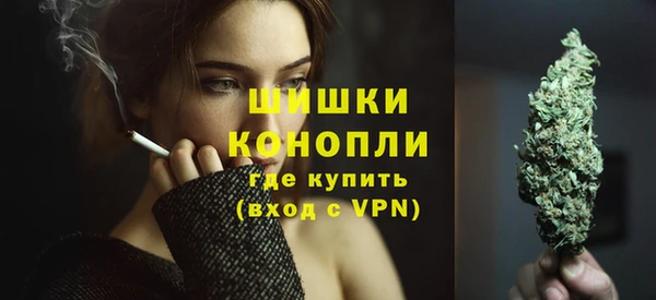 сатива Вяземский