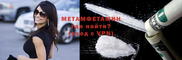 сатива Вяземский