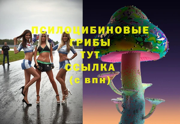 сатива Вяземский