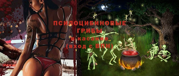 сатива Вяземский