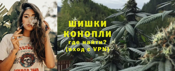 сатива Вяземский