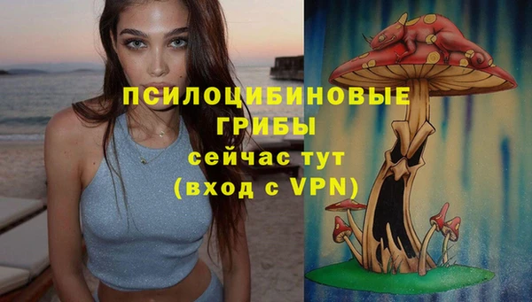 MDMA Вязьма