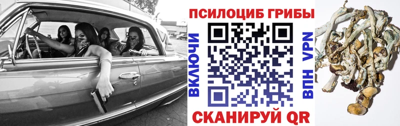 Купить где  Кировград  Галлюциногенные грибы ЛСД 